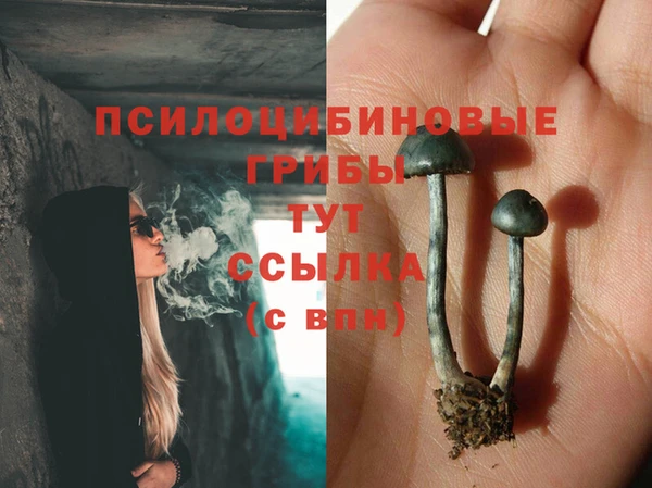 винт Богородицк