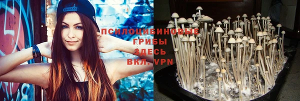 винт Богородицк