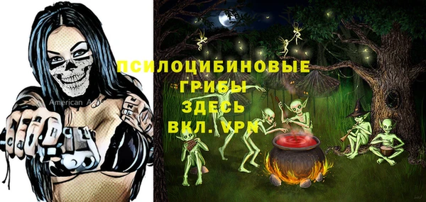 винт Богородицк